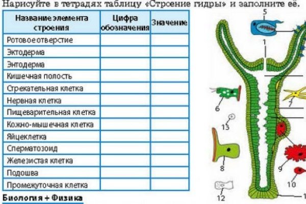 Как вернуть профиль в кракене