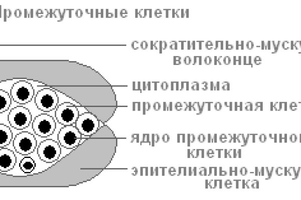 Кракен тор krakens13 at